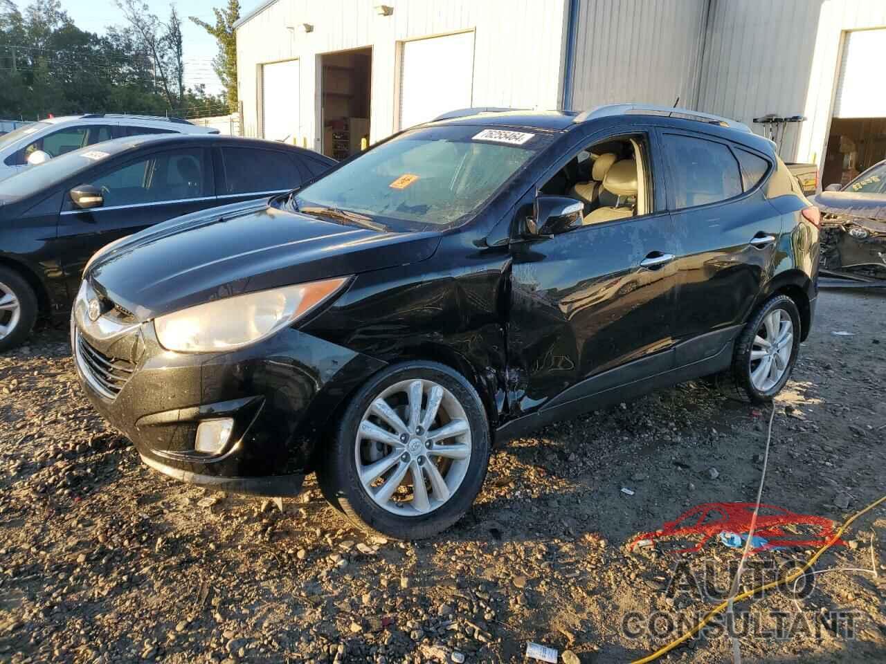 HYUNDAI TUCSON 2011 - KM8JUCAC7BU274354