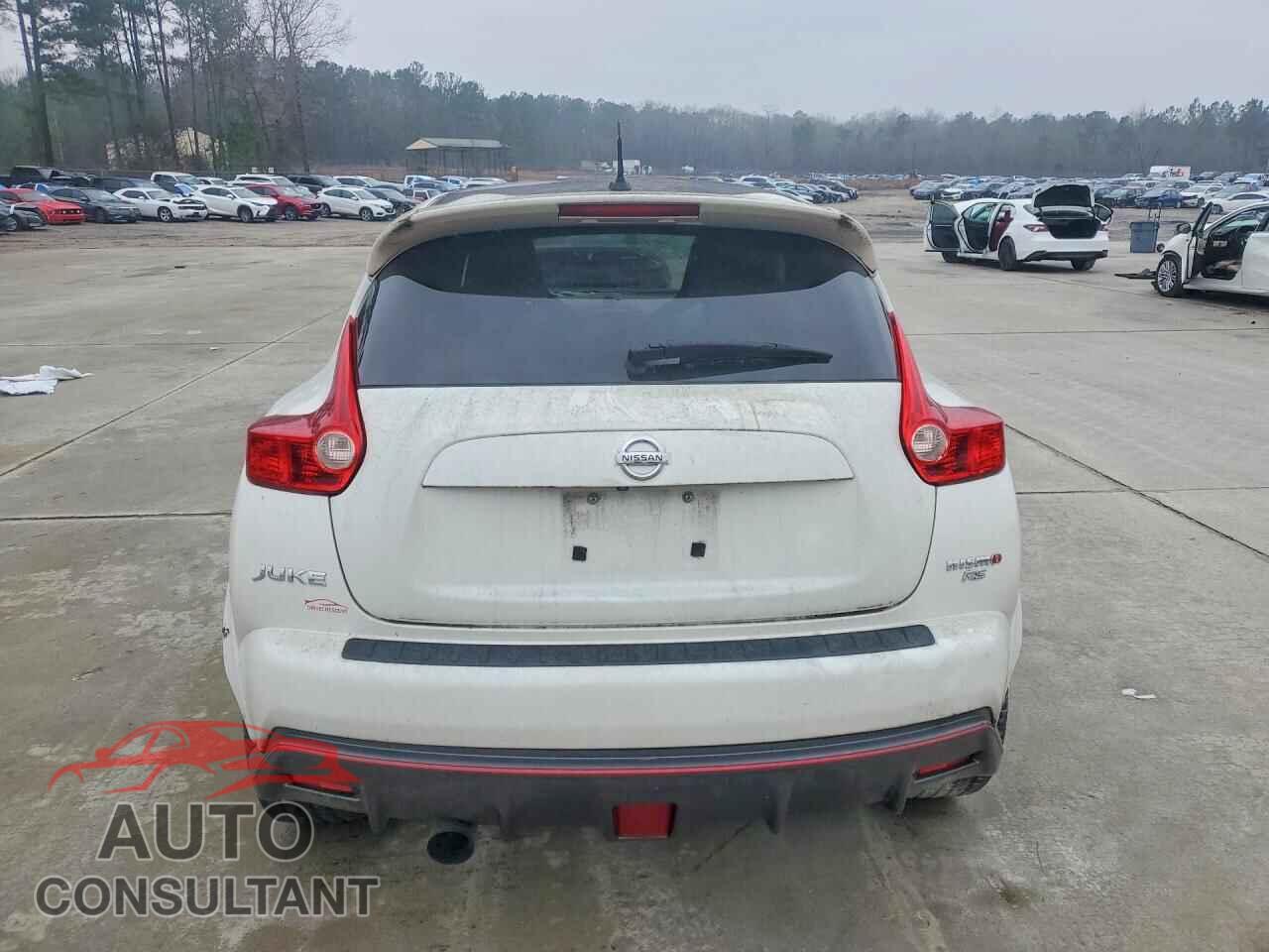 NISSAN JUKE 2014 - JN8DF5MVXET150601