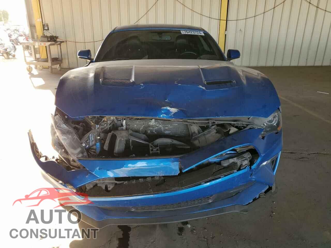 FORD MUSTANG 2019 - 1FA6P8CF0K5104066