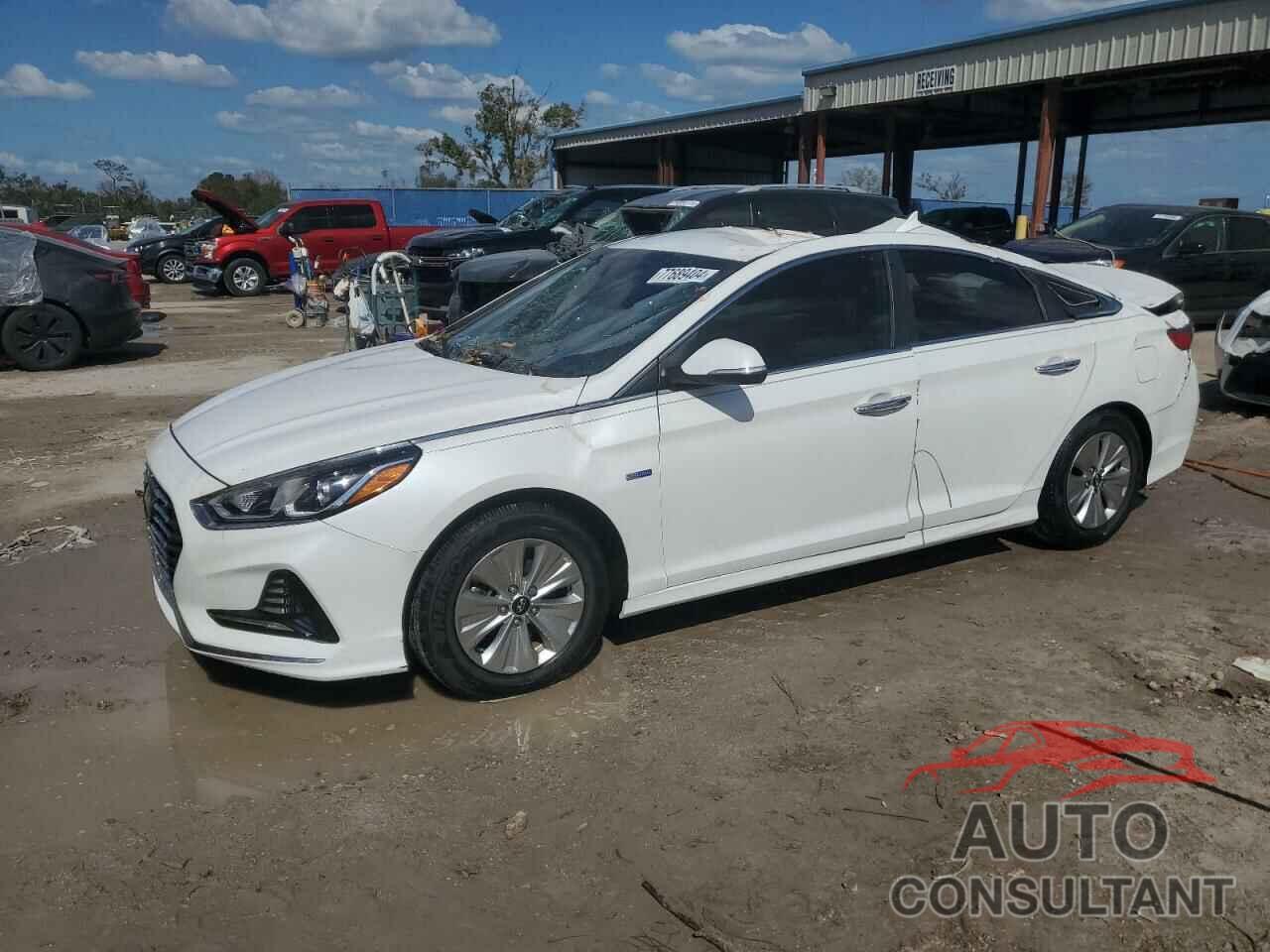 HYUNDAI SONATA 2019 - KMHE24L39KA094126