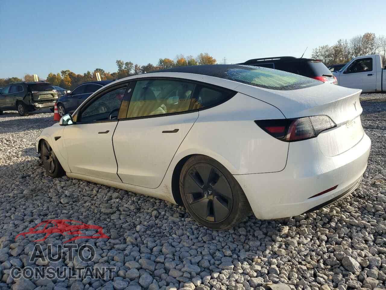 TESLA MODEL 3 2021 - 5YJ3E1EA8MF986293