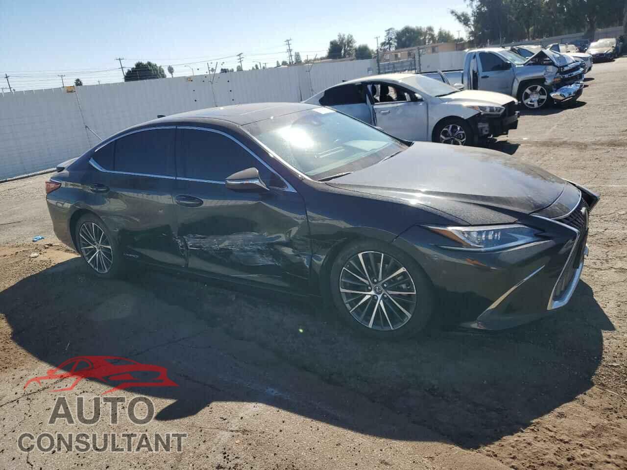 LEXUS ES300 2022 - 58ADA1C19NU026030