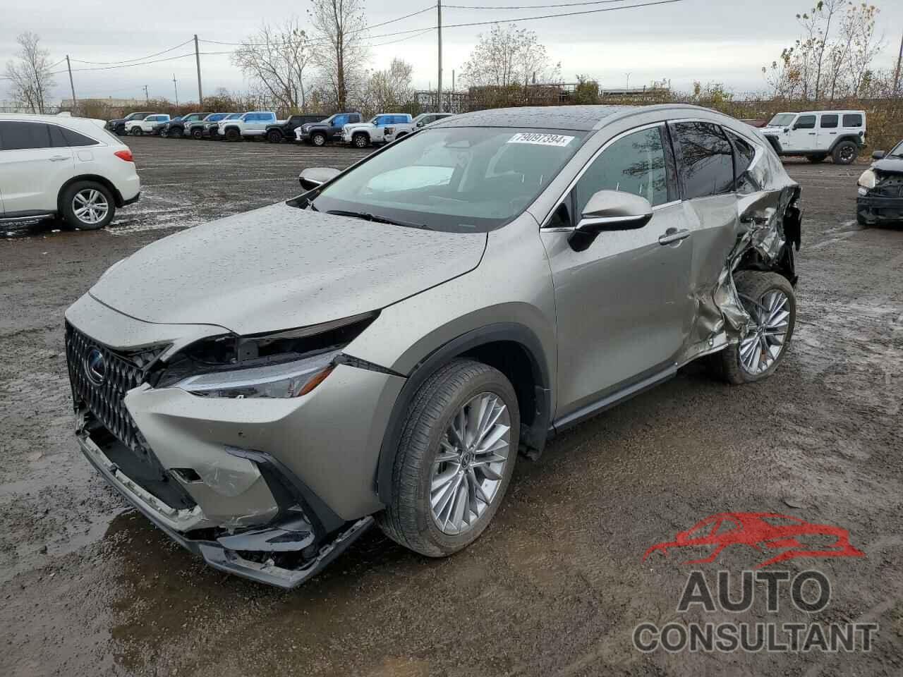 LEXUS NX 350H BA 2024 - 2T2GKCEZ8RC020917