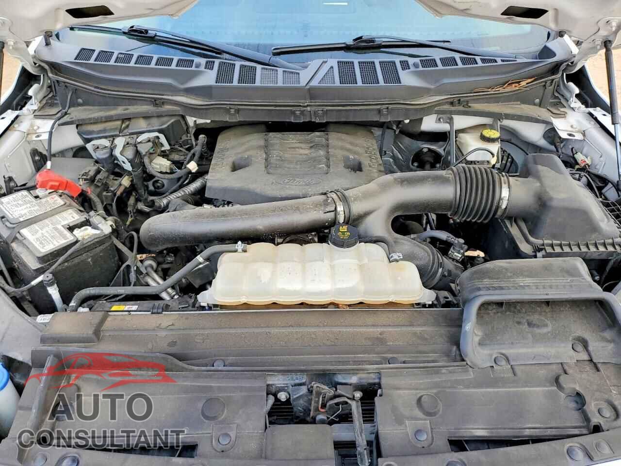 FORD F150 2023 - 1FTEW1C8XPFB51219