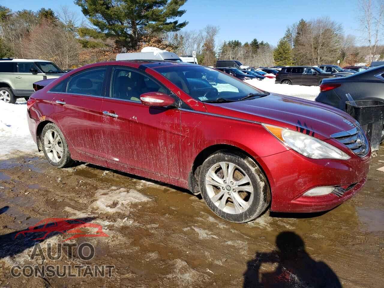 HYUNDAI SONATA 2011 - 5NPEC4AC5BH294465