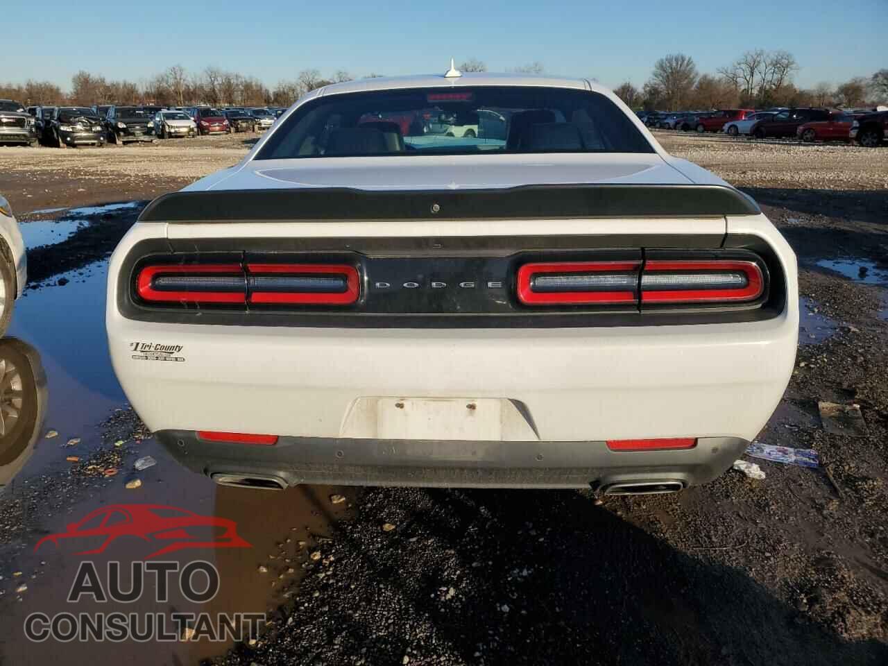 DODGE CHALLENGER 2018 - 2C3CDZGG6JH255679