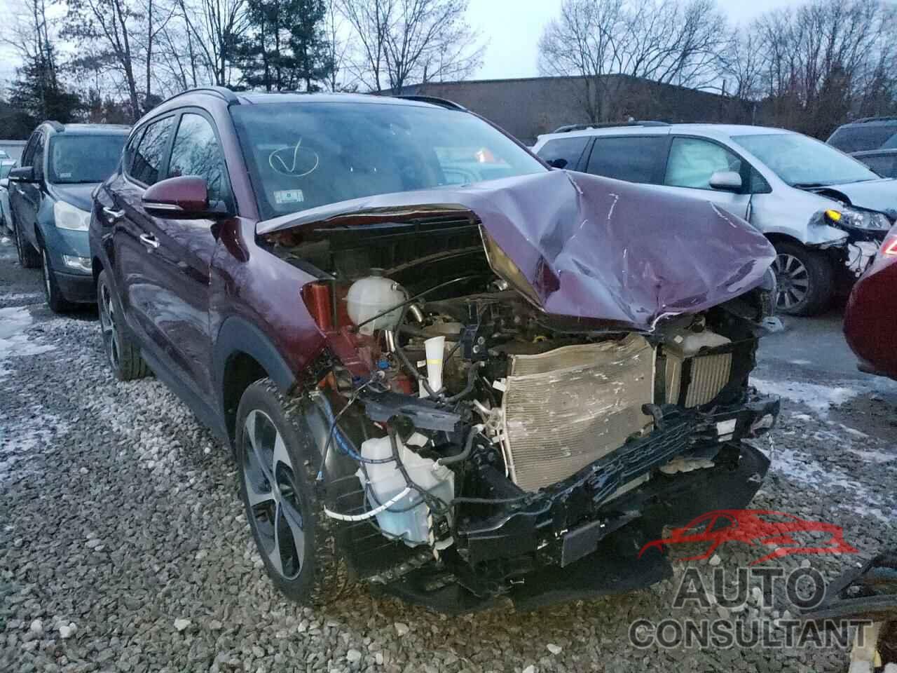 HYUNDAI TUCSON 2016 - KM8J3CA25GU201159
