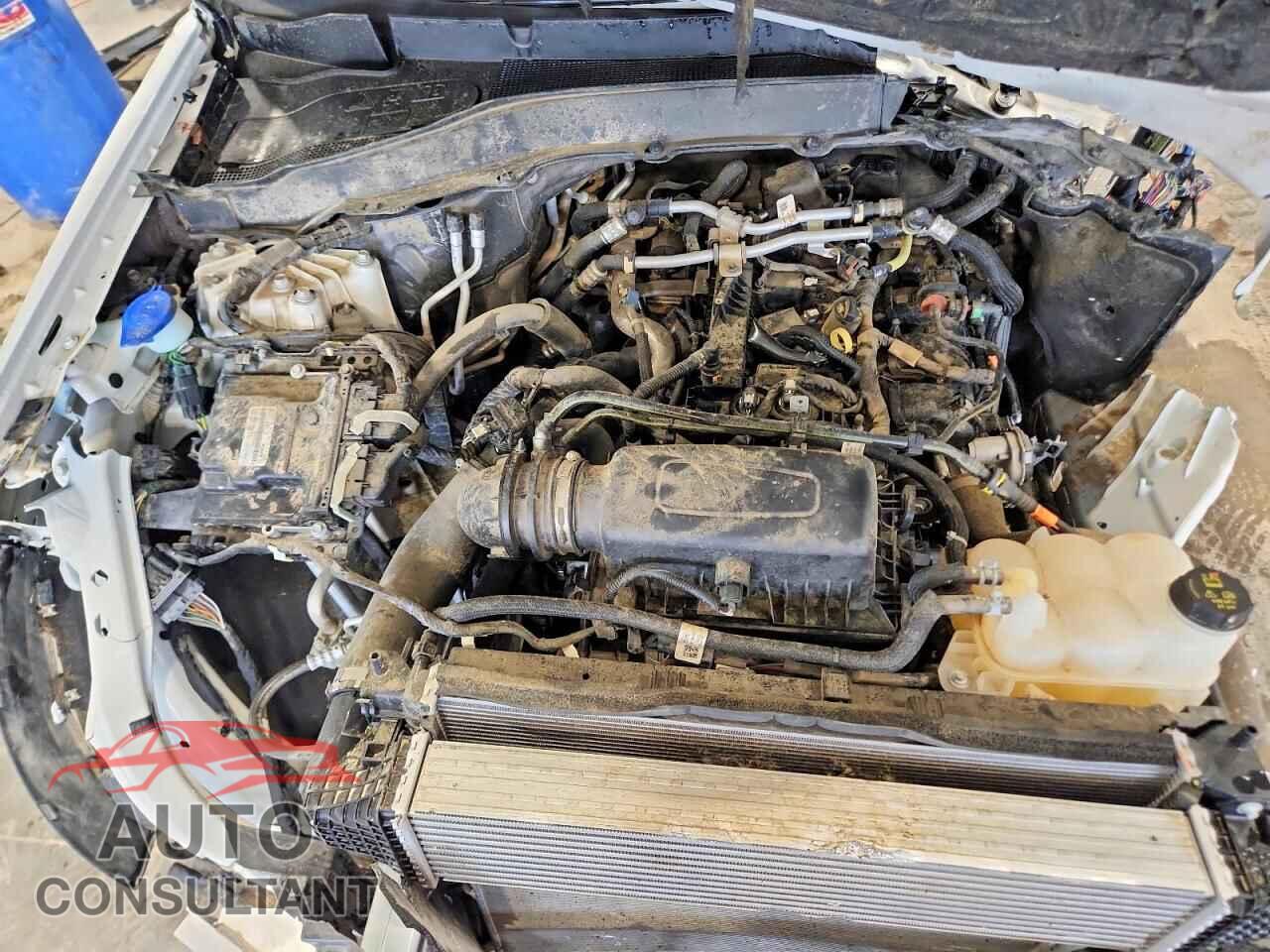 FORD EXPLORER 2023 - 1FMSK8FH3PGB24288