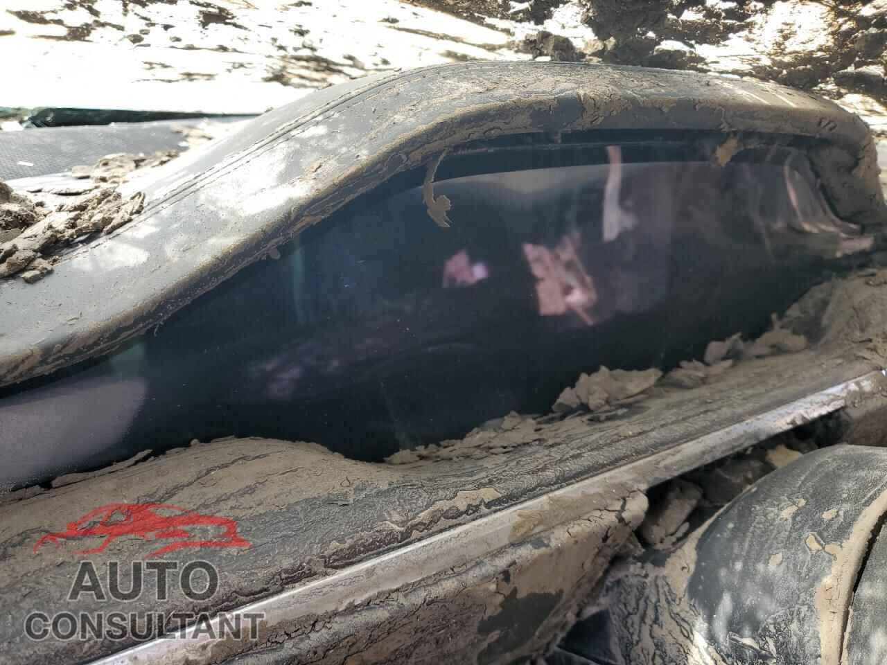 TESLA MODEL S 2024 - 5YJSA1E59RF532894