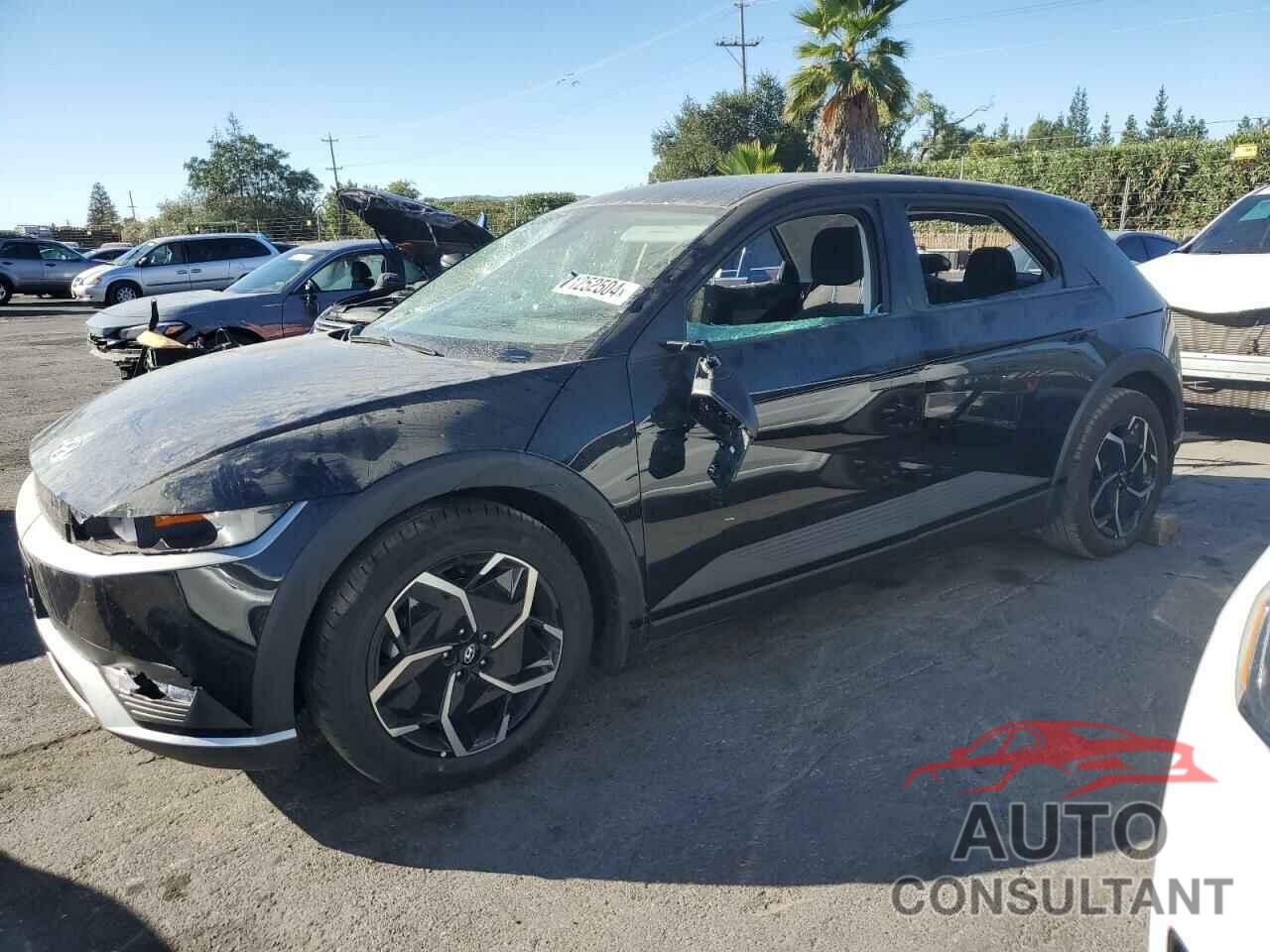 HYUNDAI IONIQ 2024 - KM8KM4DB1RU269805
