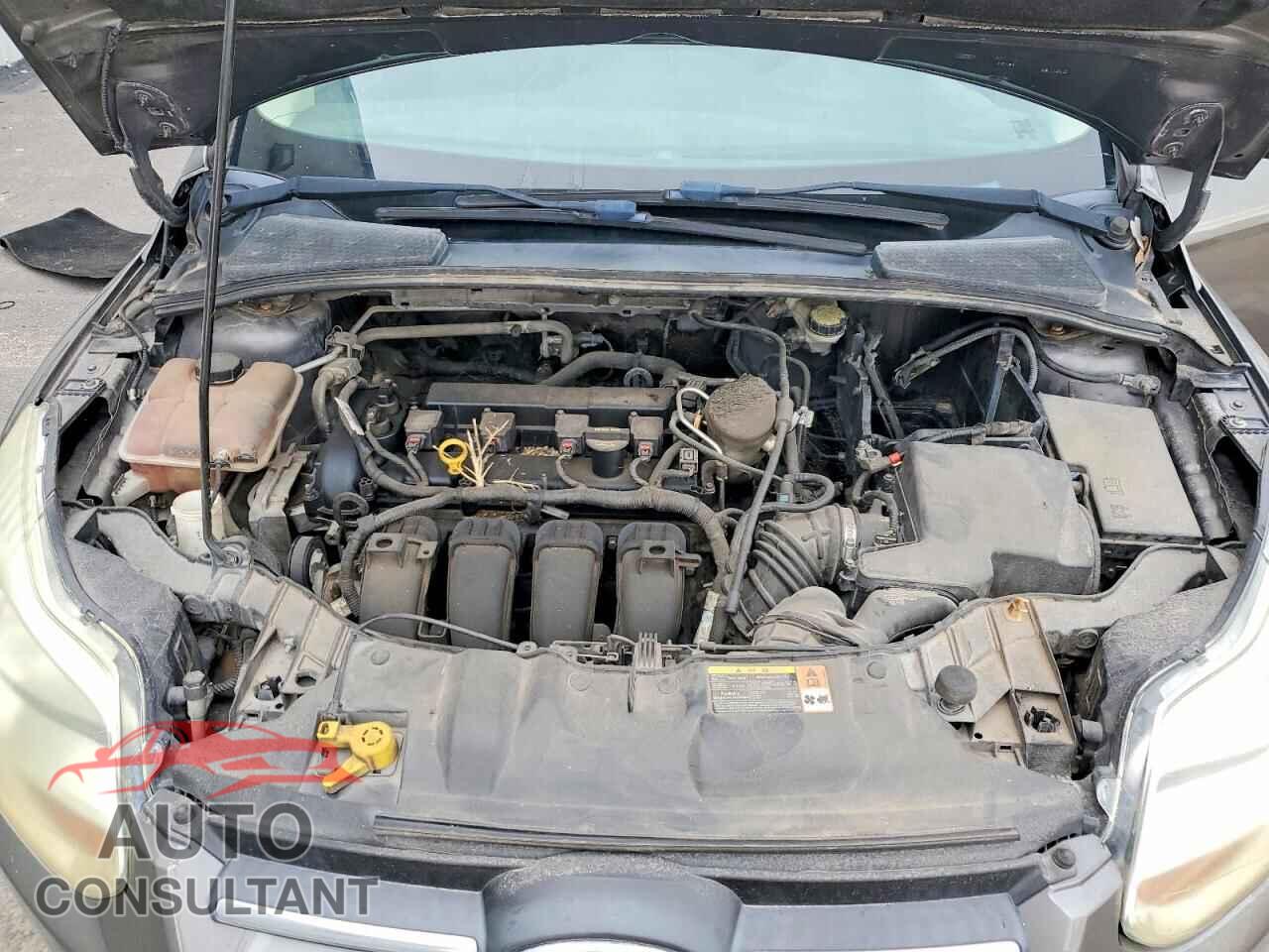 FORD FOCUS 2013 - 1FADP3F26DL220504