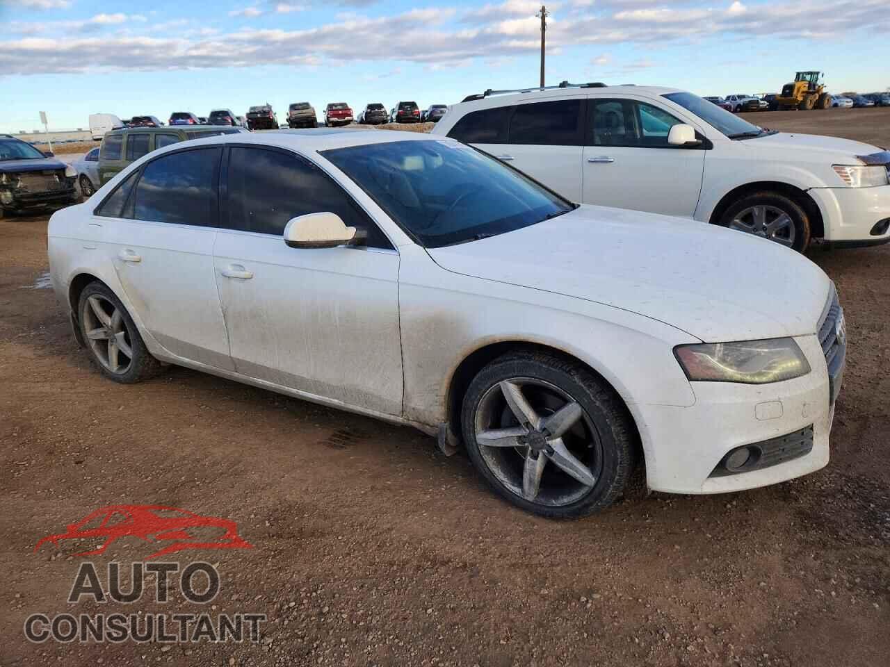 AUDI A4 2011 - WAUFFCFLXBN006256