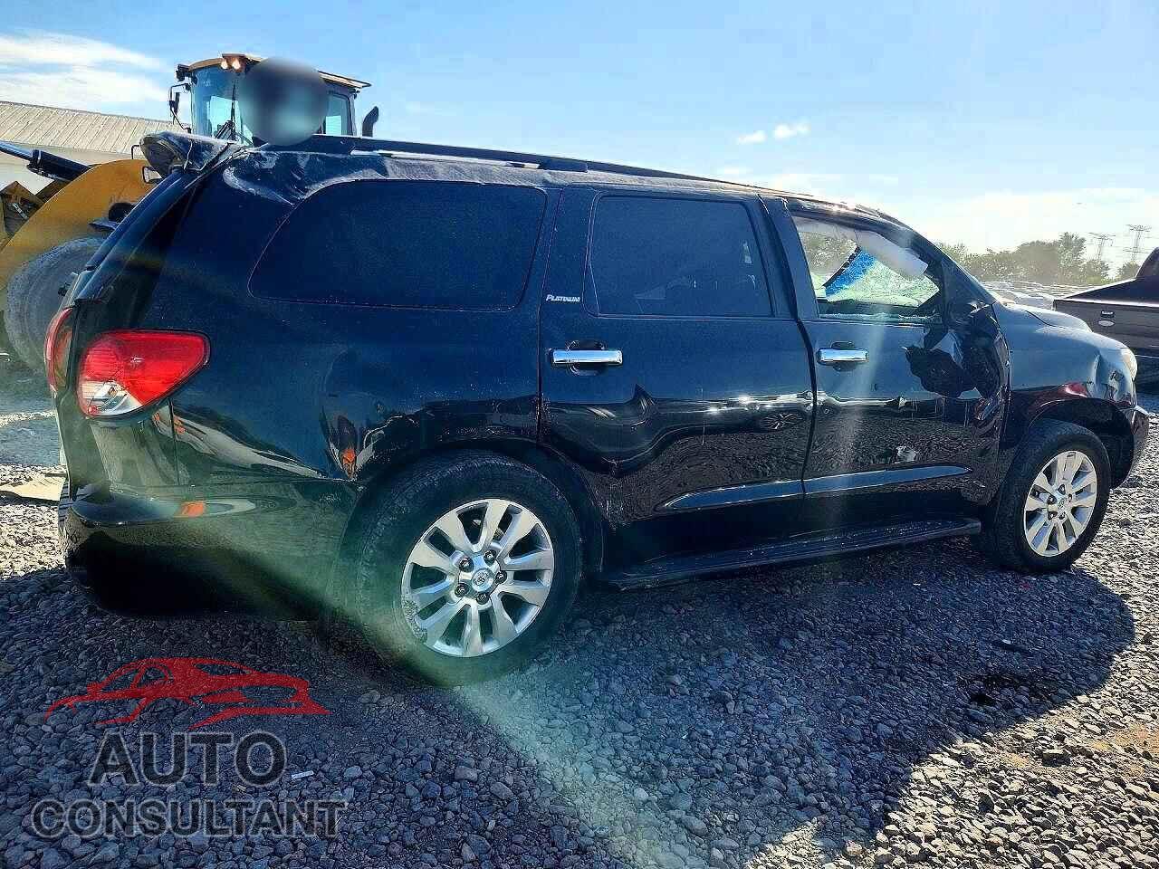 TOYOTA SEQUOIA 2011 - 5TDDW5G10BS044916
