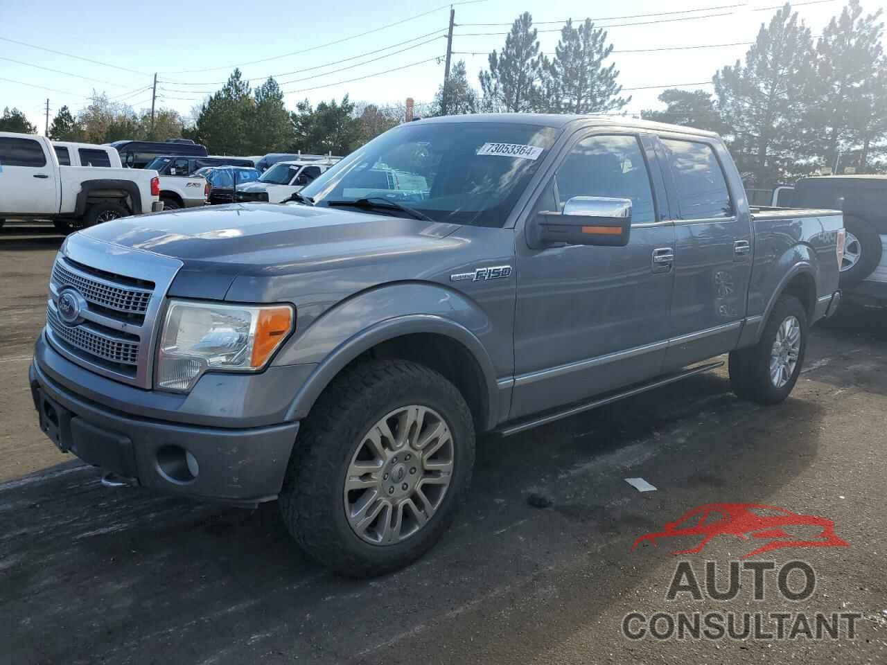 FORD F-150 2010 - 1FTFW1EV0AFA18158