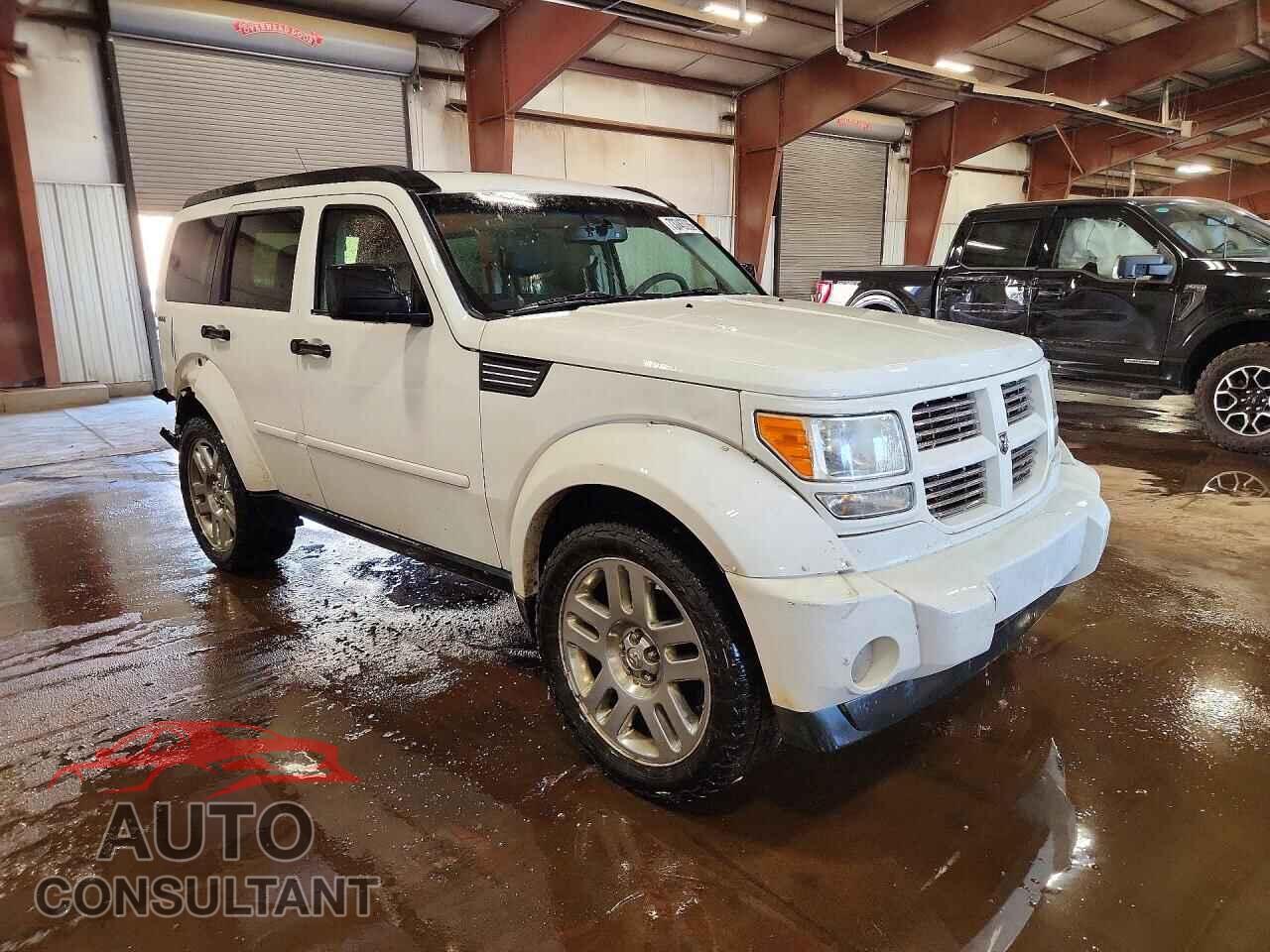 DODGE NITRO 2011 - 1D4PU4GX6BW568351