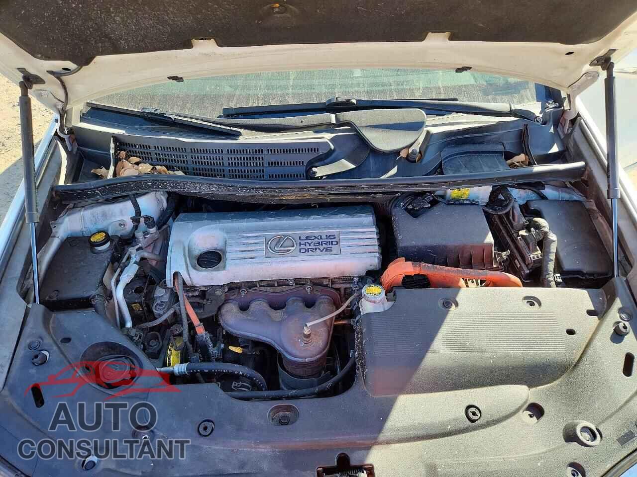 LEXUS HS 2011 - JTHBB1BA8B2046776