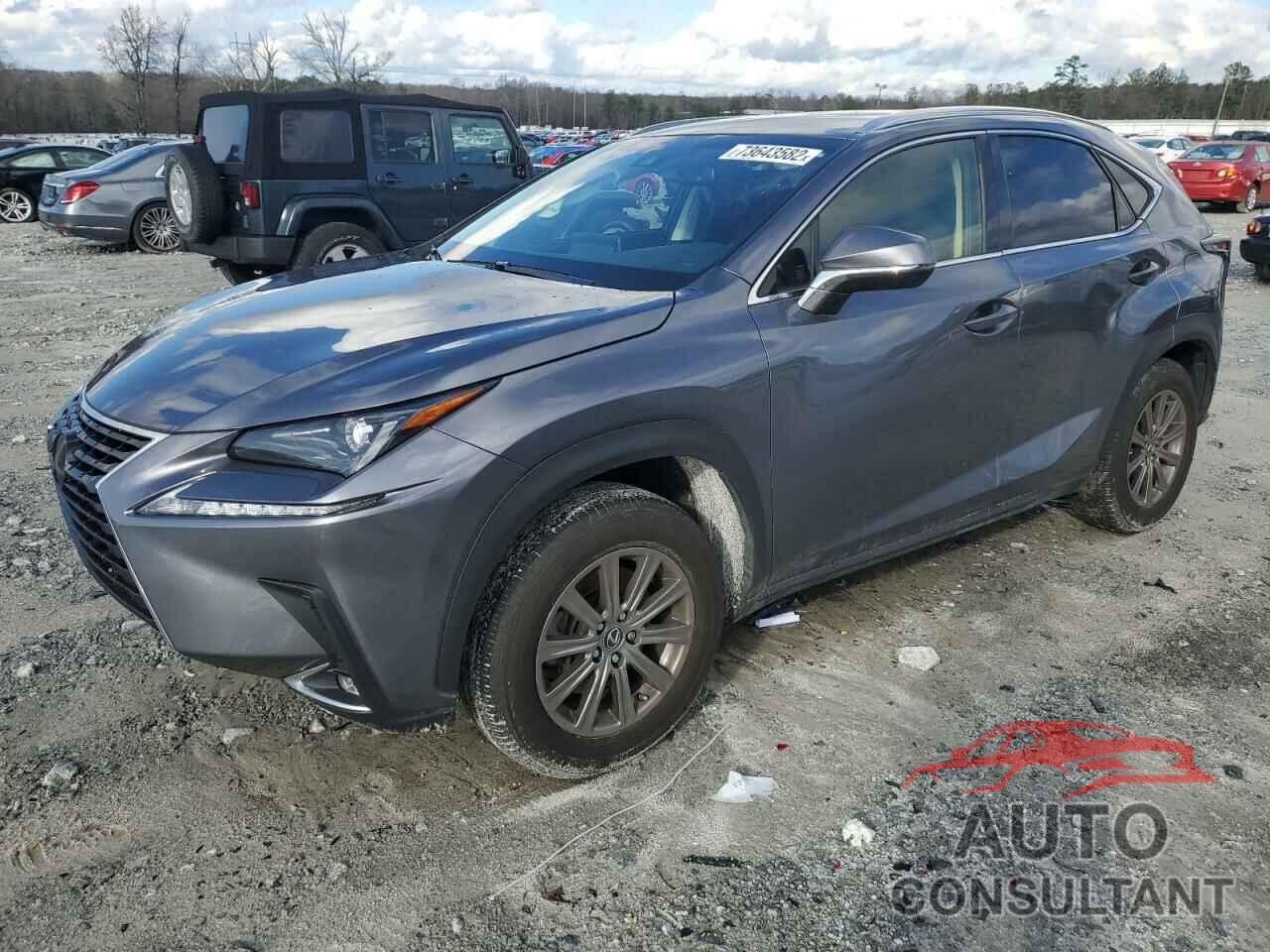 LEXUS NX 2019 - JTJYARBZ9K2141217