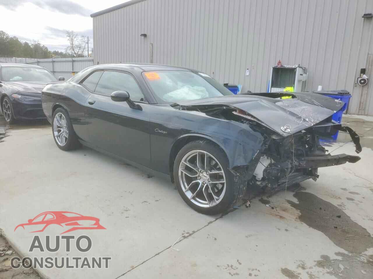 DODGE CHALLENGER 2019 - 2C3CDZBT3KH503313