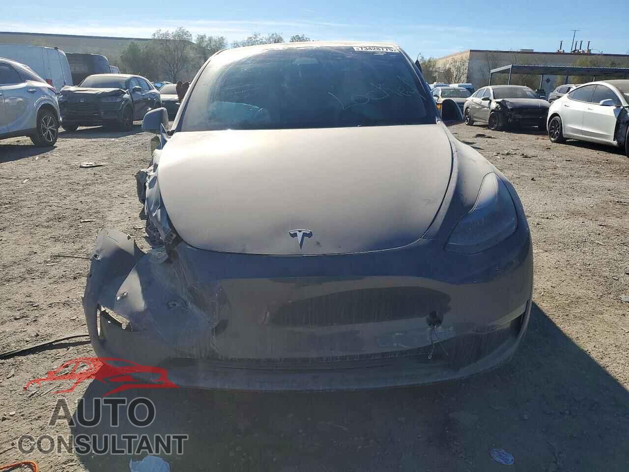 TESLA MODEL Y 2022 - 7SAYGDEF5NF564967