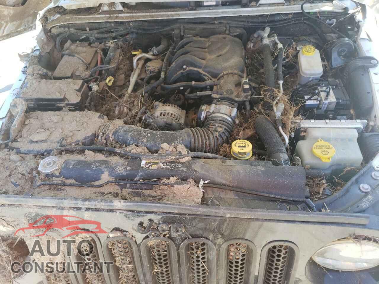 JEEP WRANGLER 2017 - 1C4AJWAG3HL530845