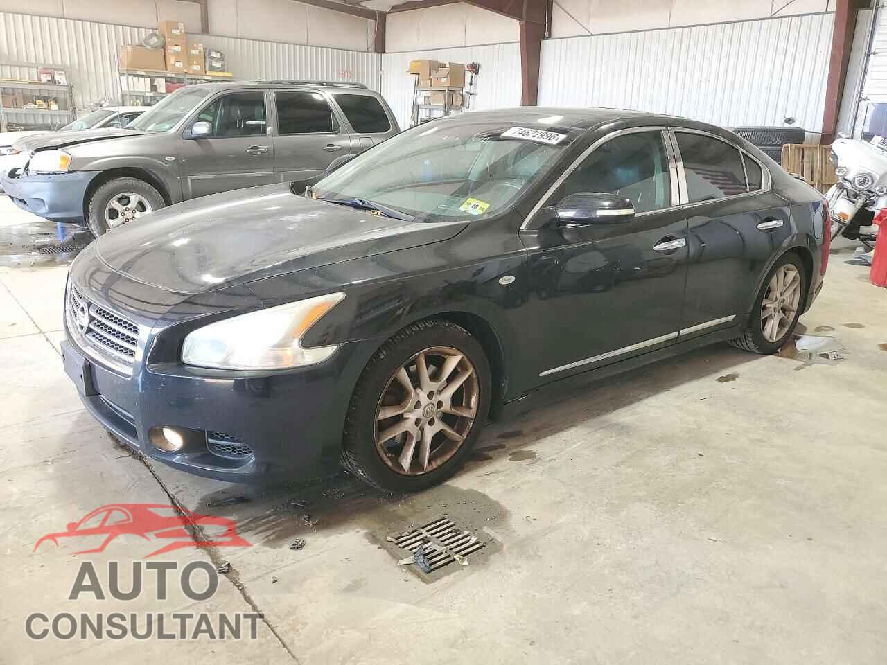 NISSAN MAXIMA 2009 - 1N4AA51E79C843106