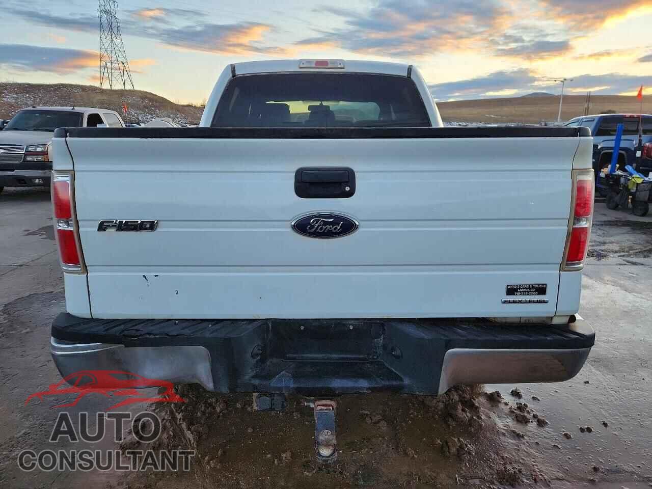 FORD F-150 2013 - 1FTFW1EF5DFD04360