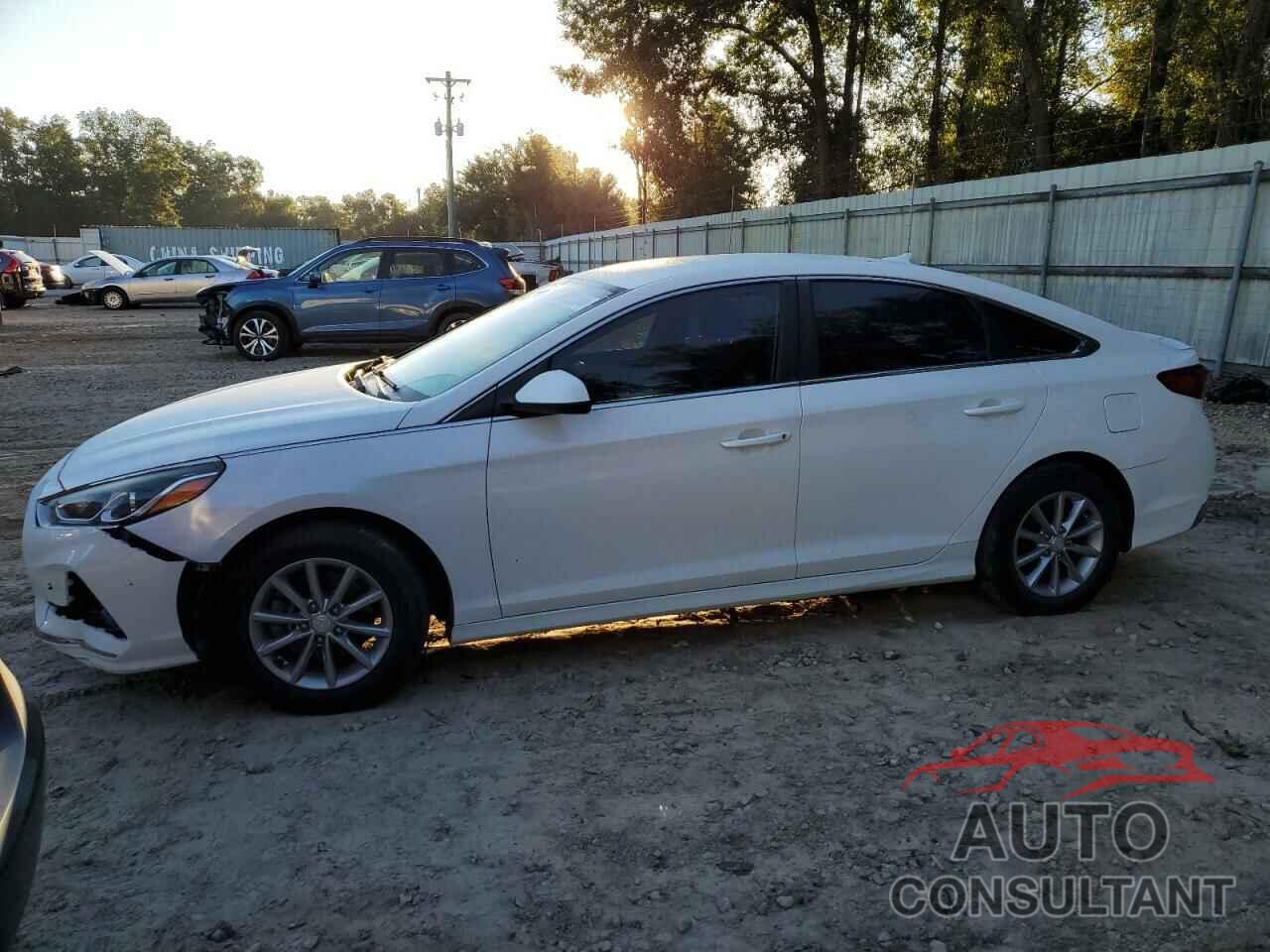 HYUNDAI SONATA 2018 - 5NPE24AF9JH644725