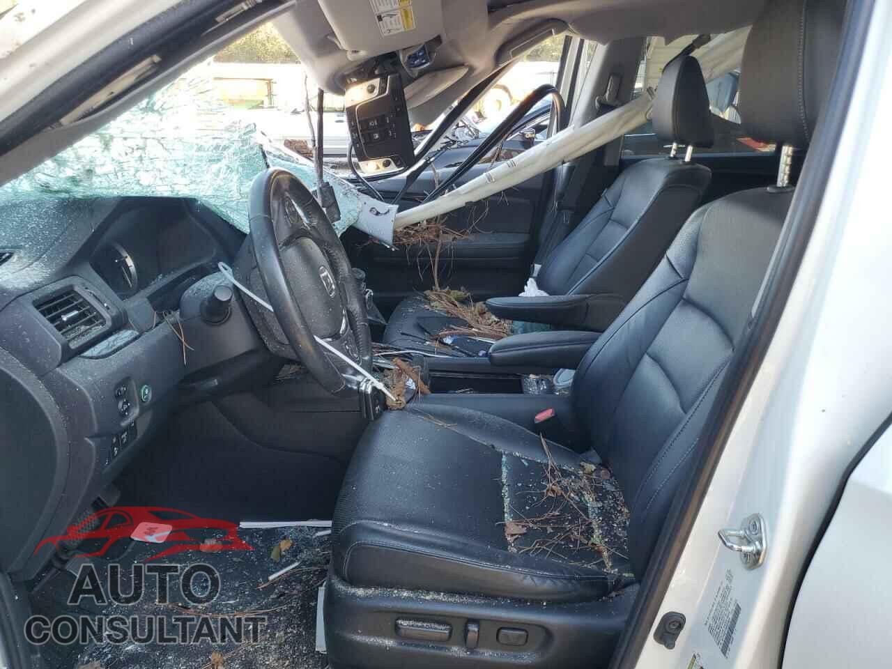 HONDA RIDGELINE 2019 - 5FPYK3F73KB020029