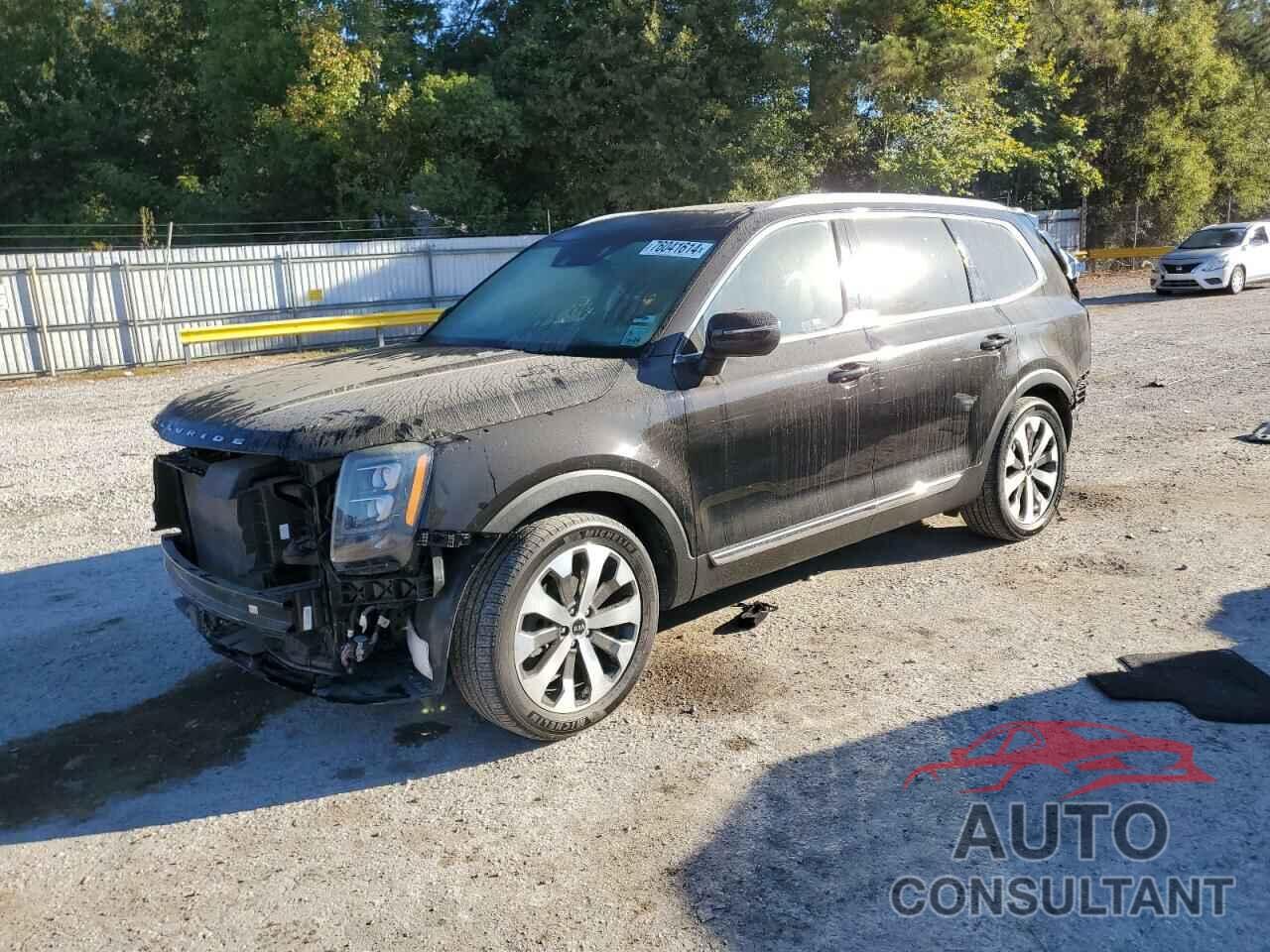 KIA TELLURIDE 2021 - 5XYP3DHC2MG114495