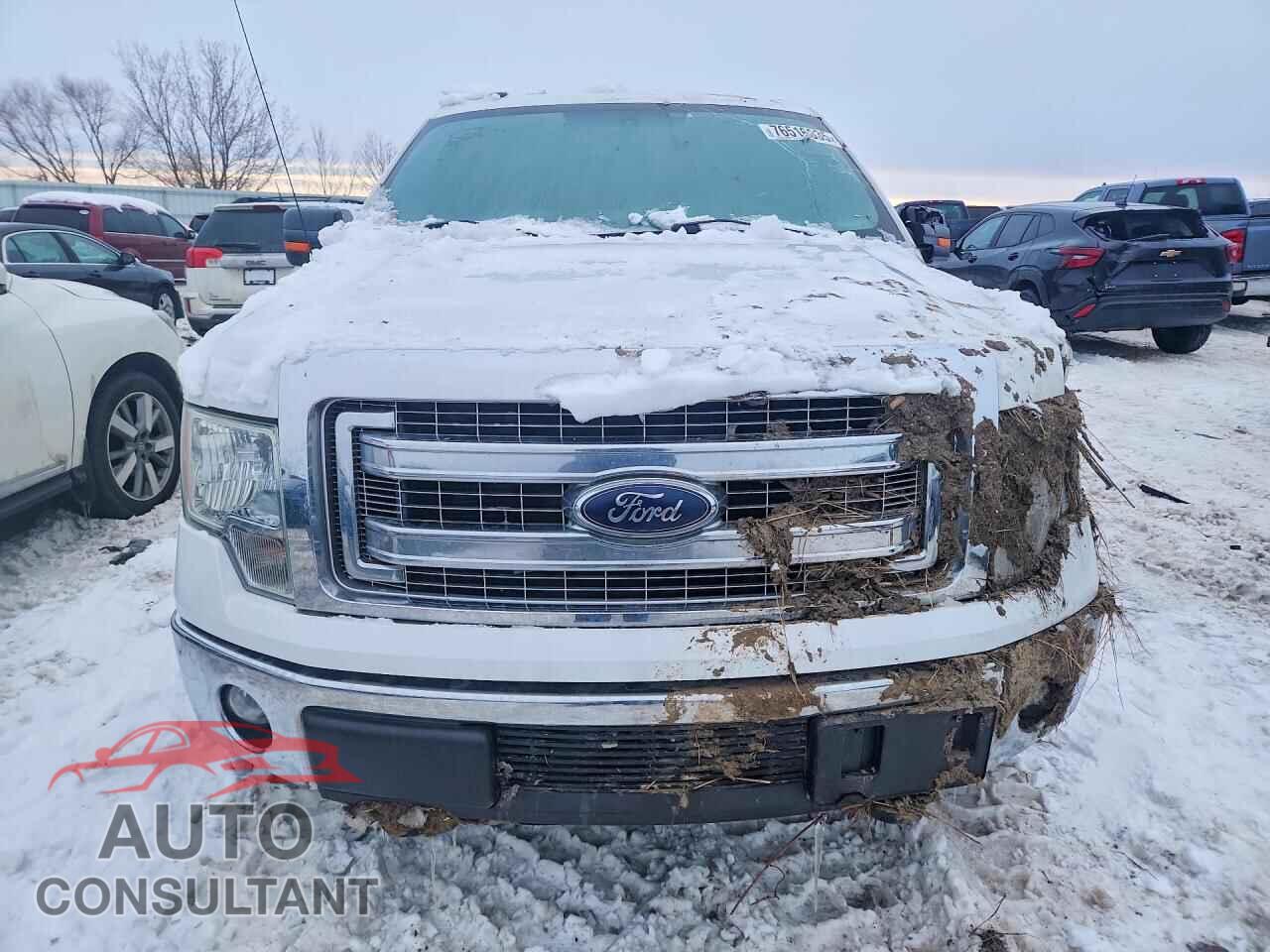 FORD F-150 2013 - 1FTFX1ET3DFC91093