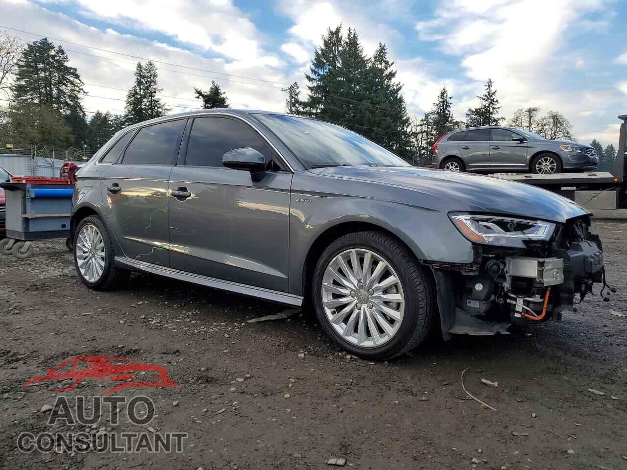AUDI A3 2017 - WAUTPBFF5HA112974
