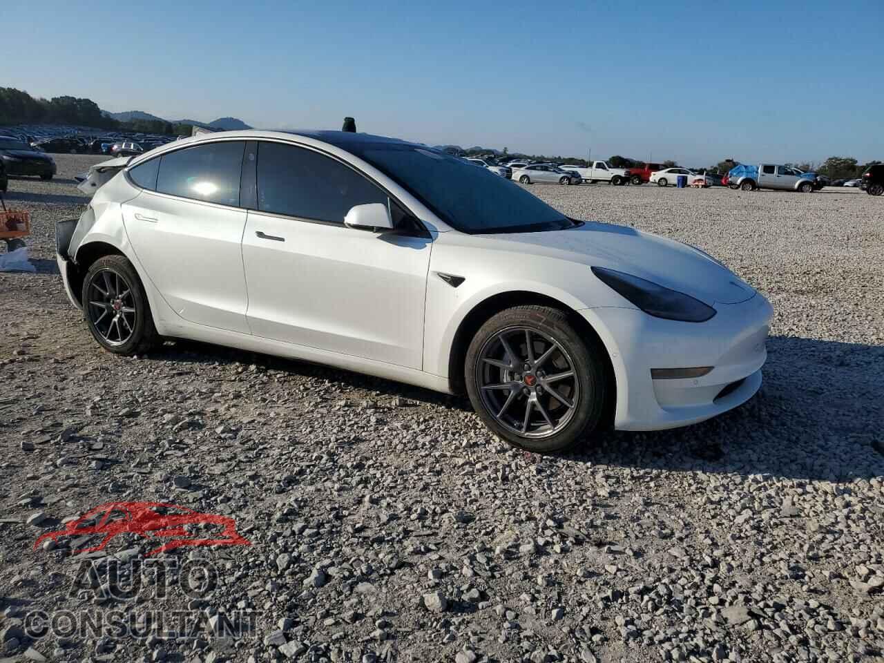 TESLA MODEL 3 2021 - 5YJ3E1EA3MF058679