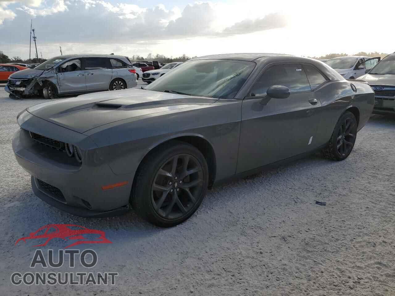 DODGE CHALLENGER 2019 - 2C3CDZAG1KH565541