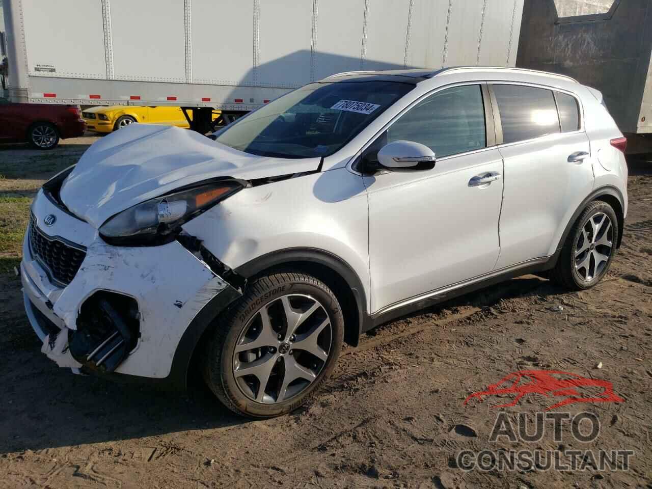 KIA SPORTAGE 2017 - KNDPR3A67H7245213