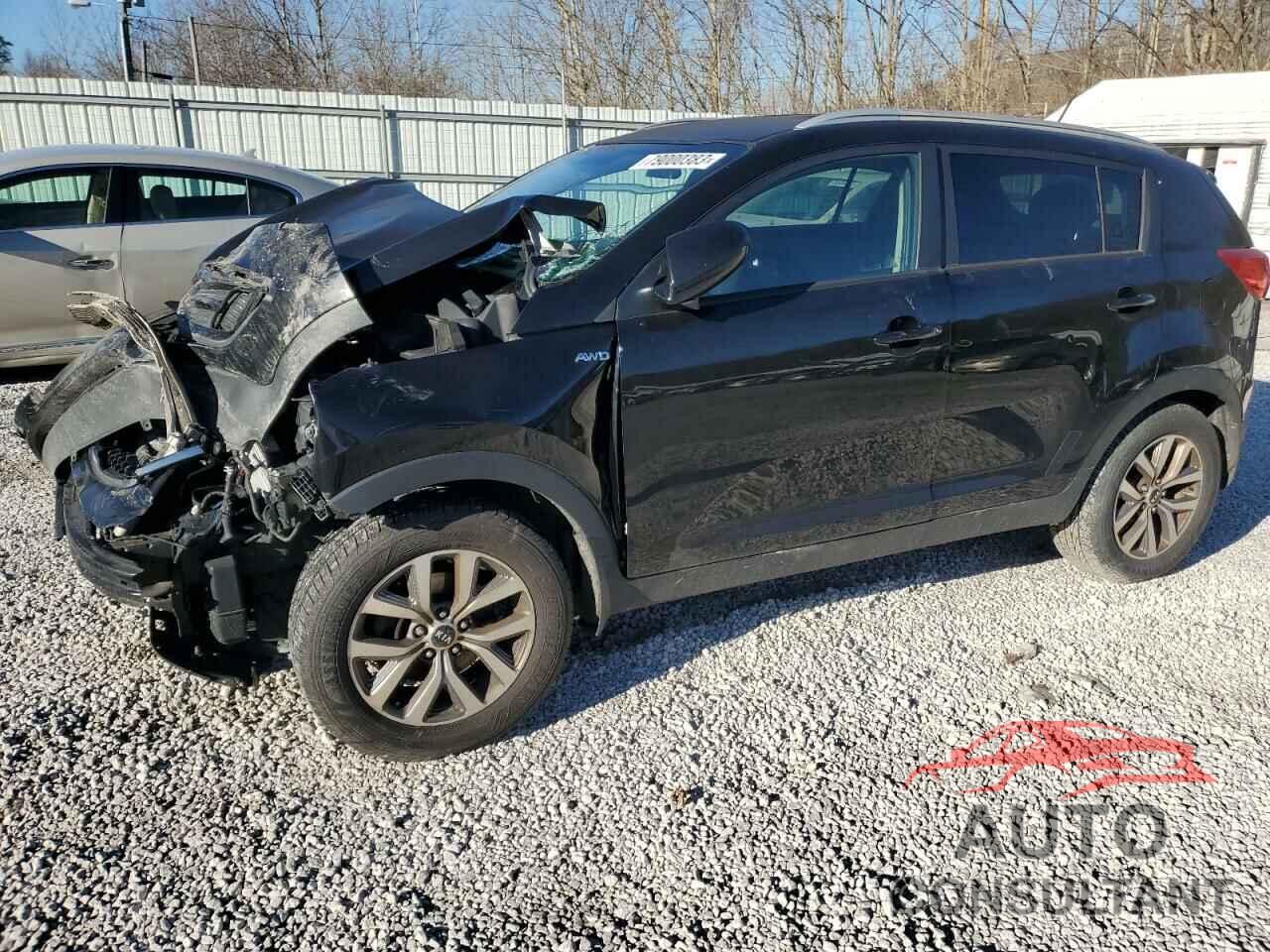 KIA SPORTAGE 2016 - KNDPBCAC8G7858787