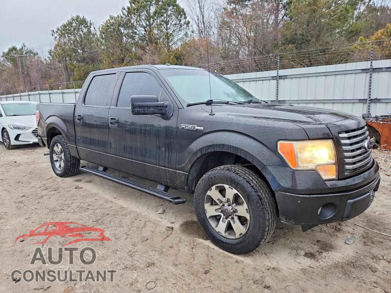 FORD F150 2012 - 1FTEW1CM4CFC16895