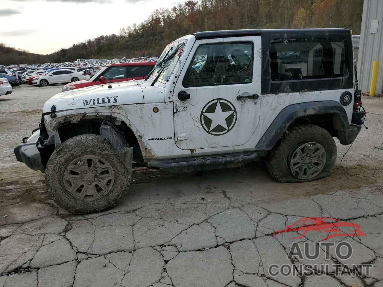 JEEP WRANGLER 2017 - 1C4AJWAG7HL589574