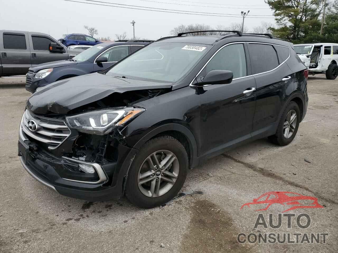 HYUNDAI SANTA FE 2017 - 5NMZUDLB3HH032159