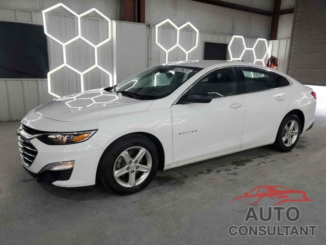 CHEVROLET MALIBU 2019 - 1G1ZB5ST5KF217204