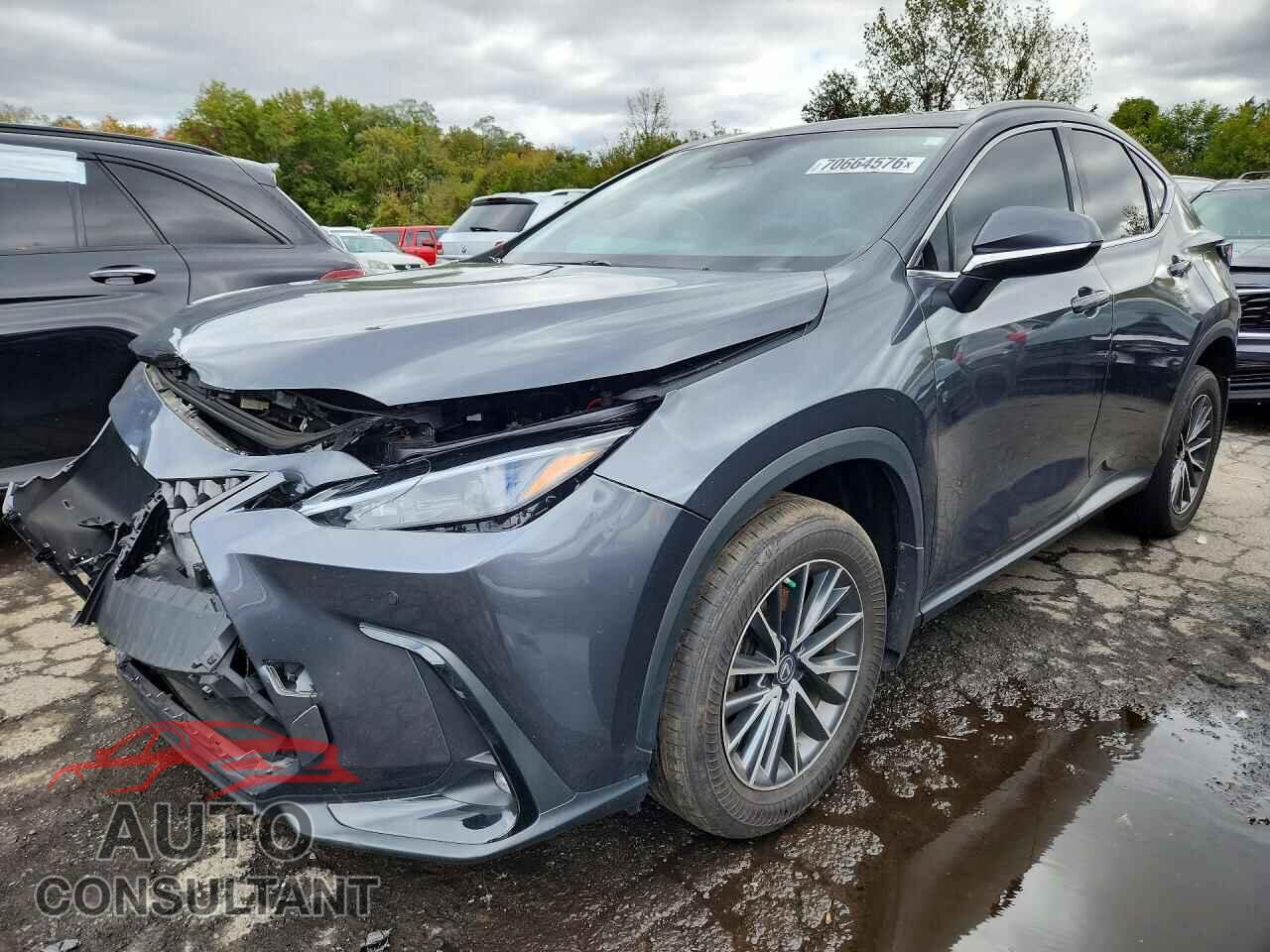 LEXUS NX 2023 - 2T2GKCEZ4PC013654