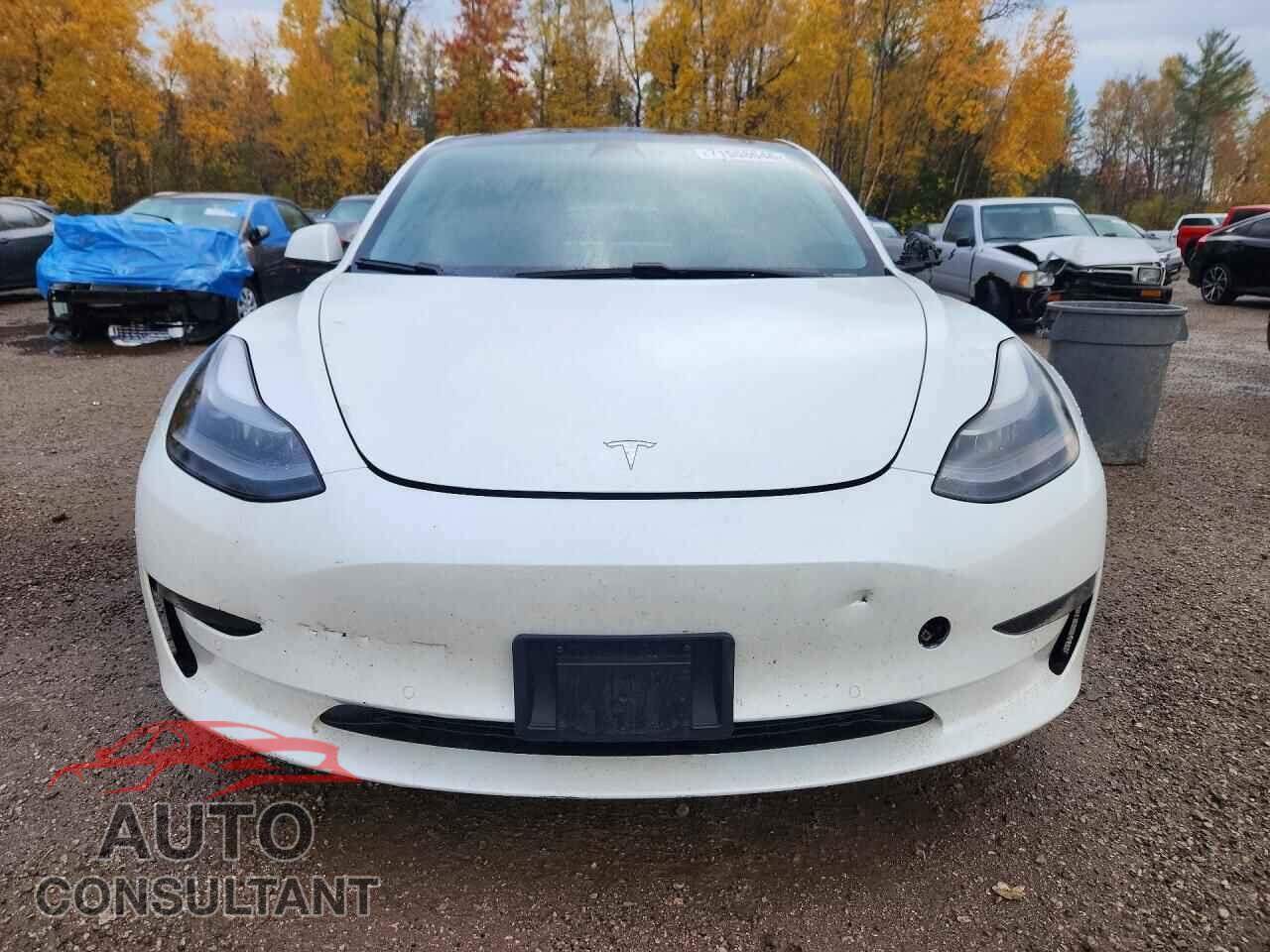TESLA MODEL 3 2021 - 5YJ3E1EA2MF918507