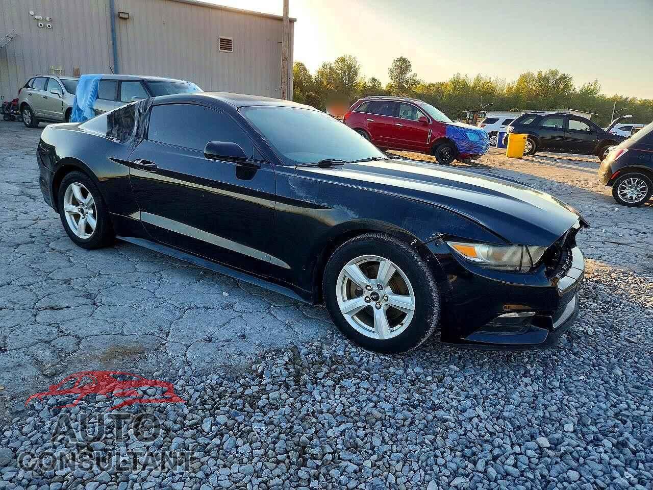 FORD MUSTANG 2017 - 1FA6P8AM5H5224648