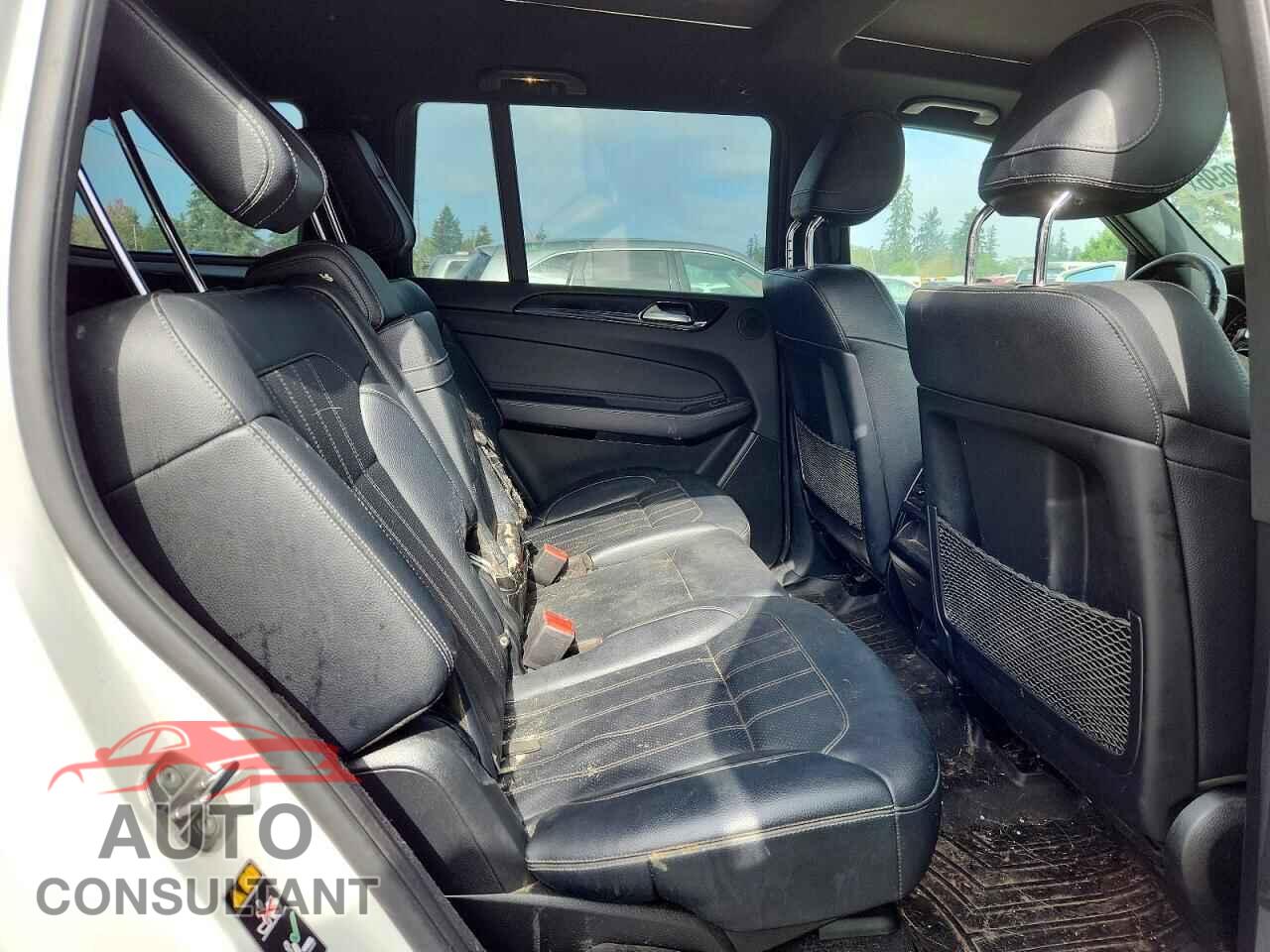 MERCEDES-BENZ GLS-CLASS 2019 - 4JGDF6EE1KB238577