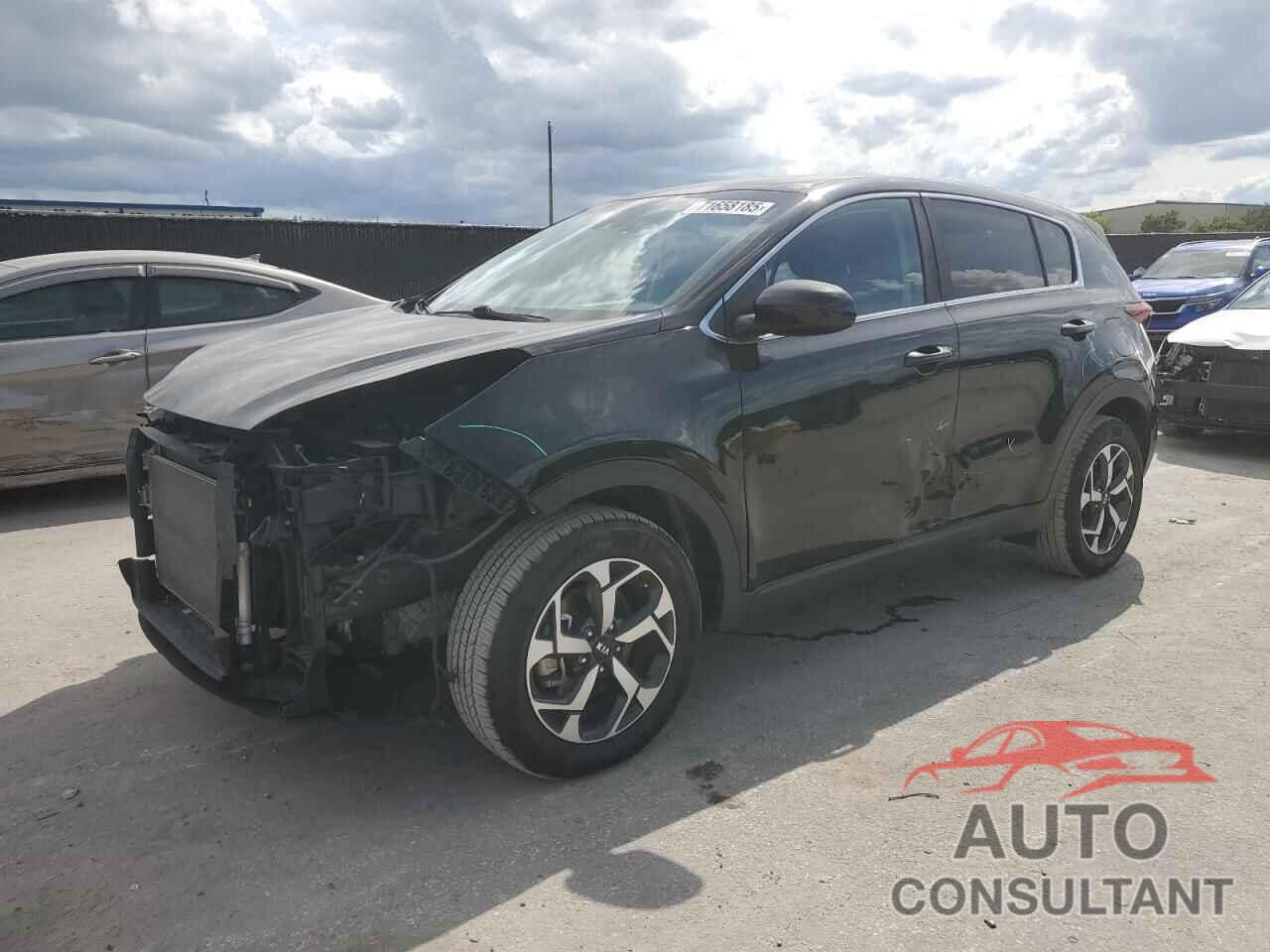 KIA SPORTAGE 2020 - KNDPM3AC3L7795652