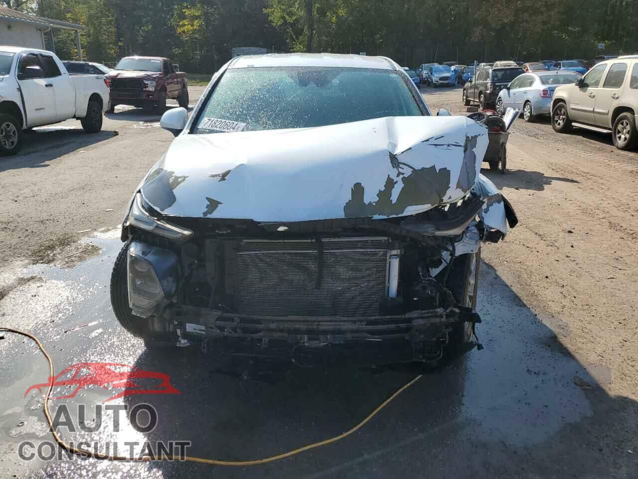 HYUNDAI SANTA FE 2019 - 5NMS2CAD0KH015641