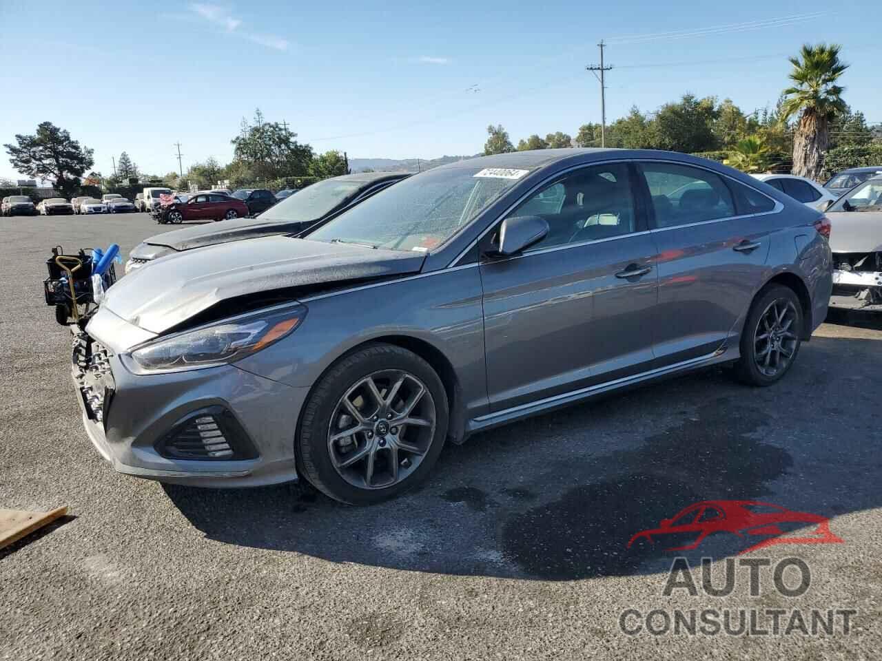 HYUNDAI SONATA 2019 - 5NPE34AB4KH791045