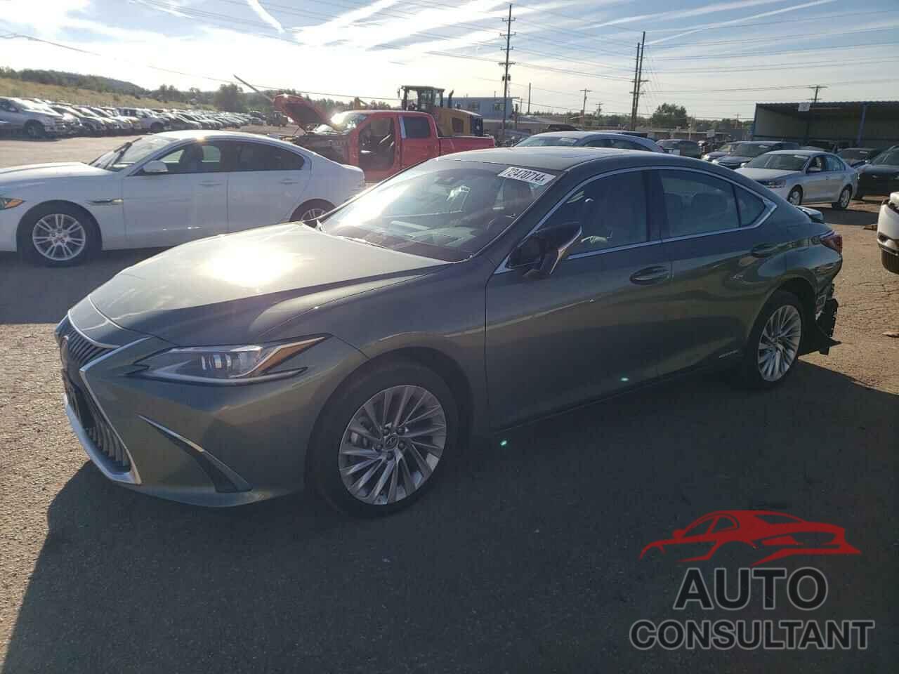 LEXUS ES300 2021 - 58AEA1C11MU001819