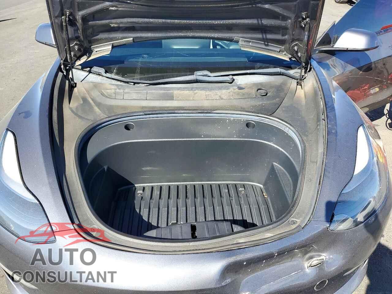 TESLA MODEL 3 2021 - 5YJ3E1EA1MF007259