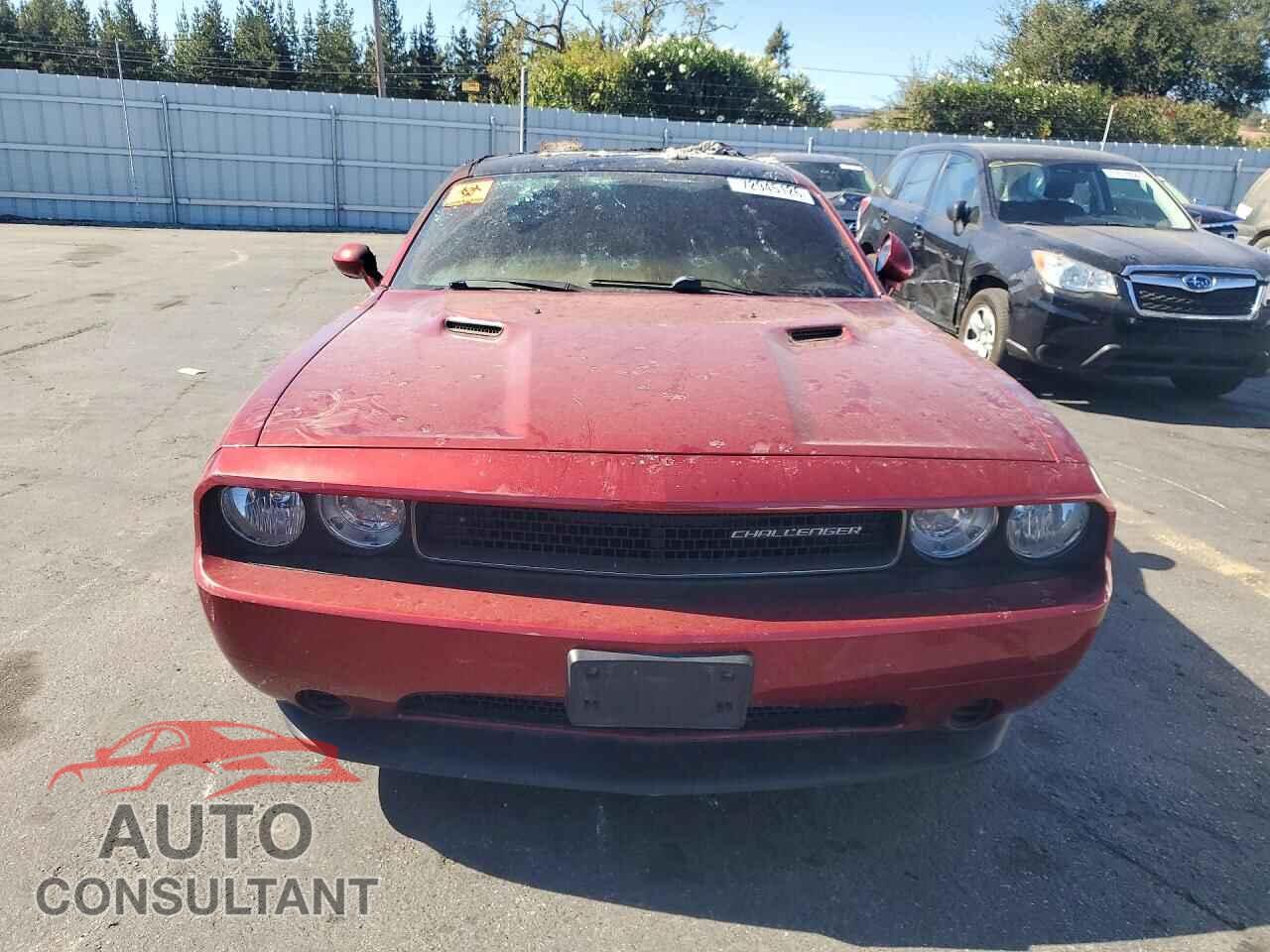 DODGE CHALLENGER 2014 - 2C3CDYAG8EH270466