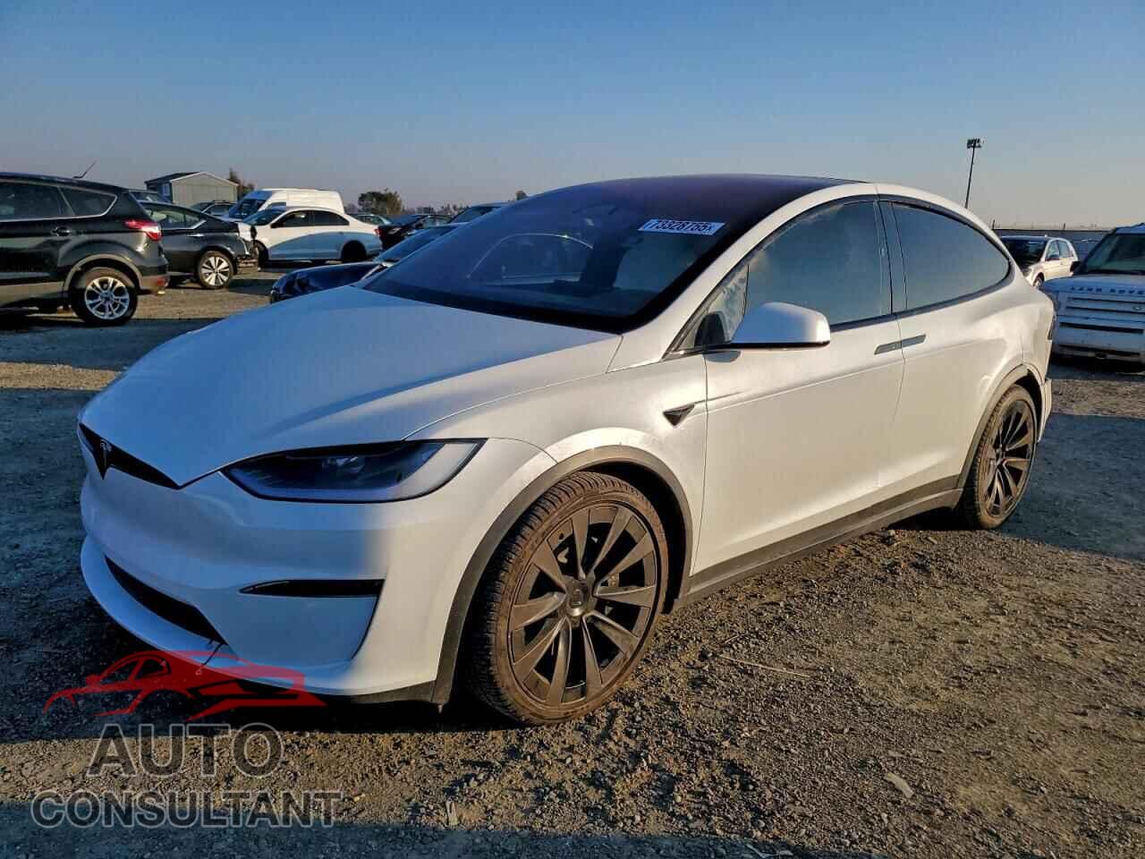 TESLA MODEL X 2024 - 7SAXCDE59RF436624